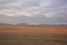 赤く染まるモンゴルの草原